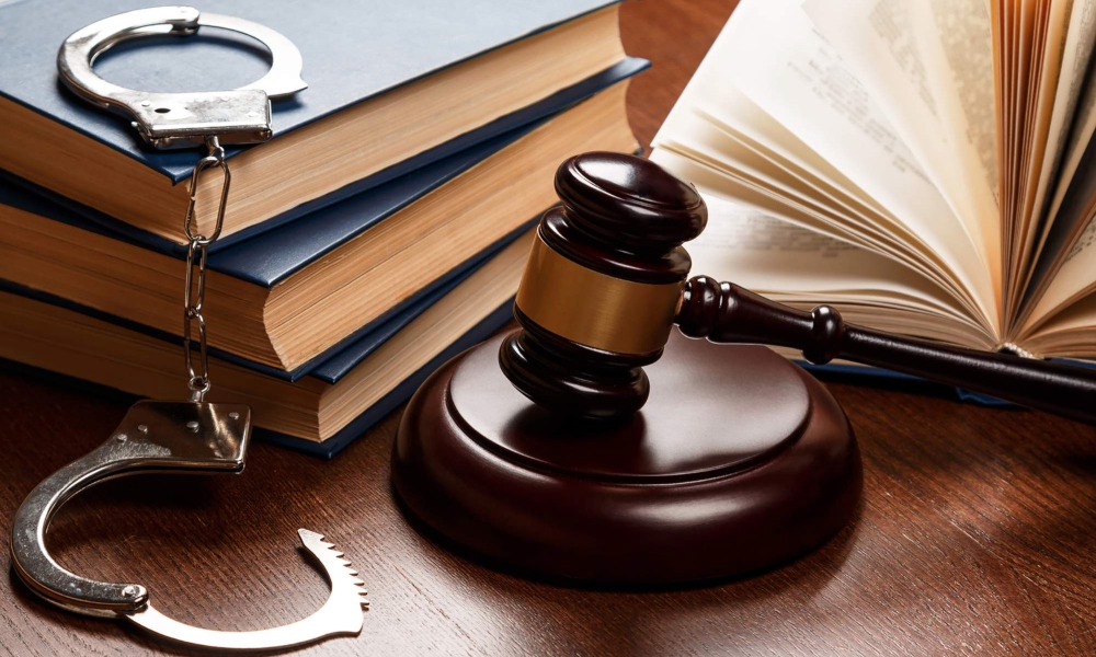 Surveillance and Privacy in Waterville: A Constitutional Debate